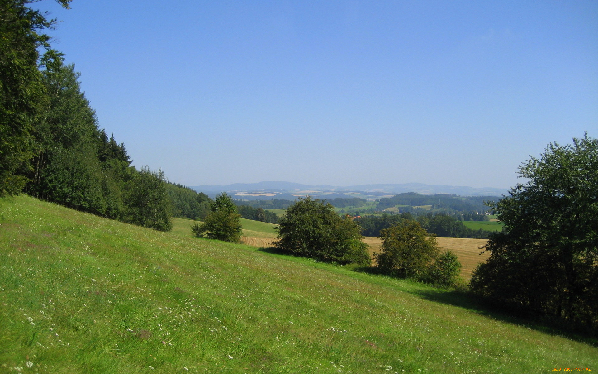 природа, луга, холм, луг, деревья