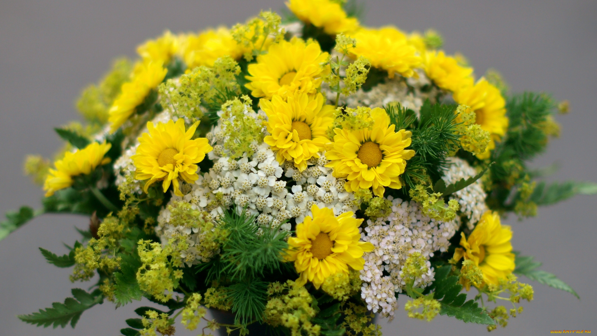 цветы, букеты, , композиции, хризантемы, тысячелистник