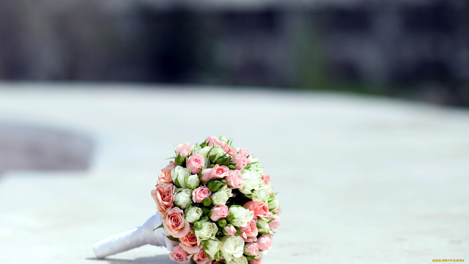 цветы, розы, букет, невесты