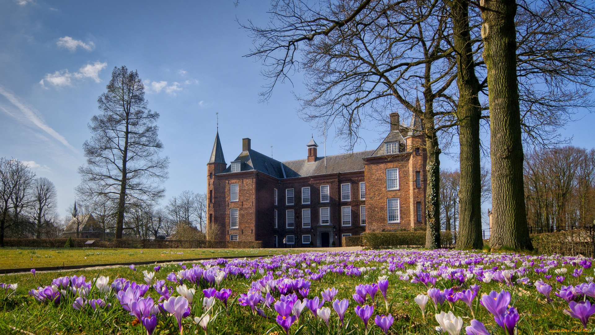 города, -, дворцы, , замки, , крепости, цветы, особняк, парк, лужайка, slot, zuylen, oud-zuilen, netherlands, ауд-зёйлен, нидерланды, крокусы