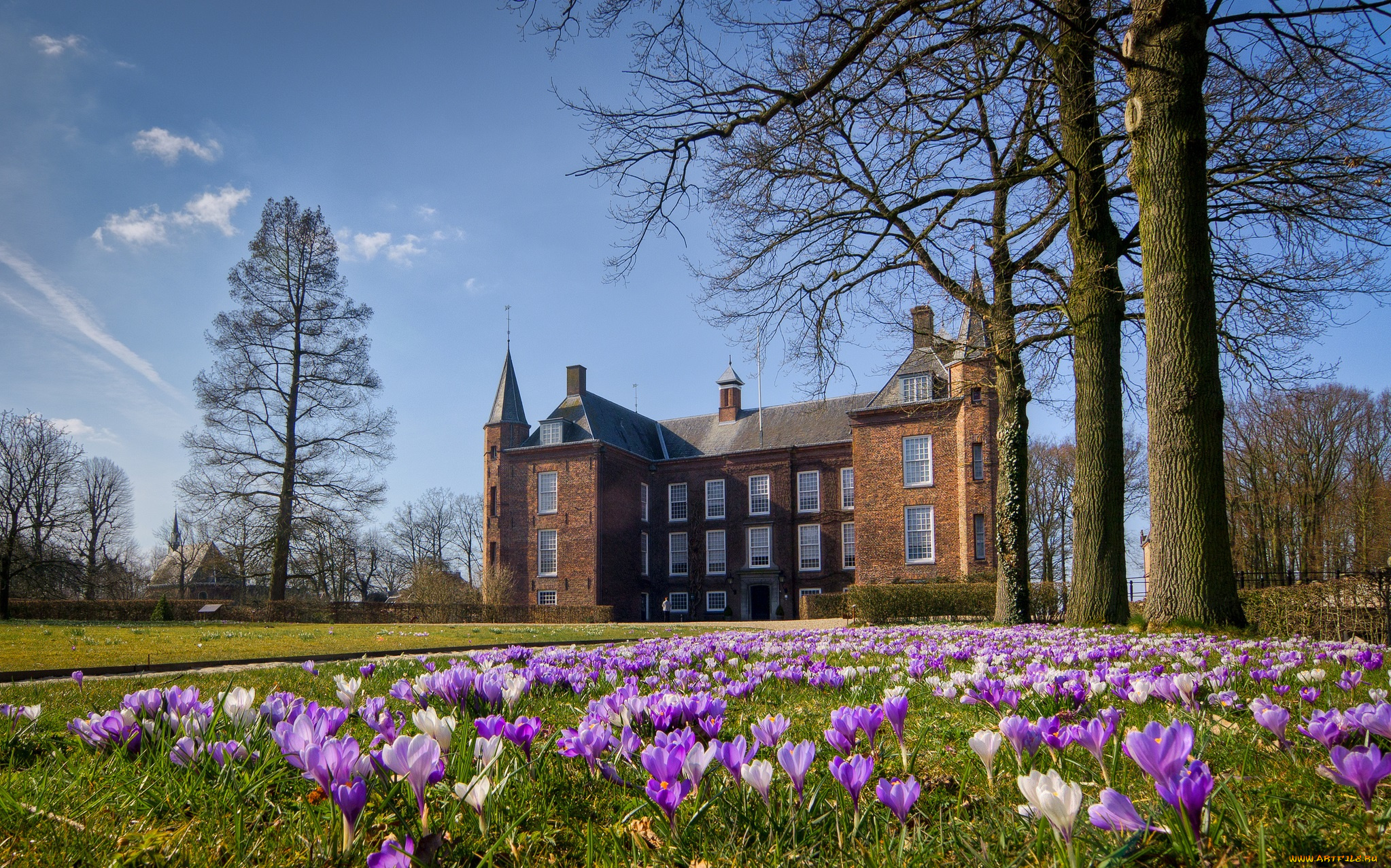 города, -, дворцы, , замки, , крепости, цветы, особняк, парк, лужайка, slot, zuylen, oud-zuilen, netherlands, ауд-зёйлен, нидерланды, крокусы