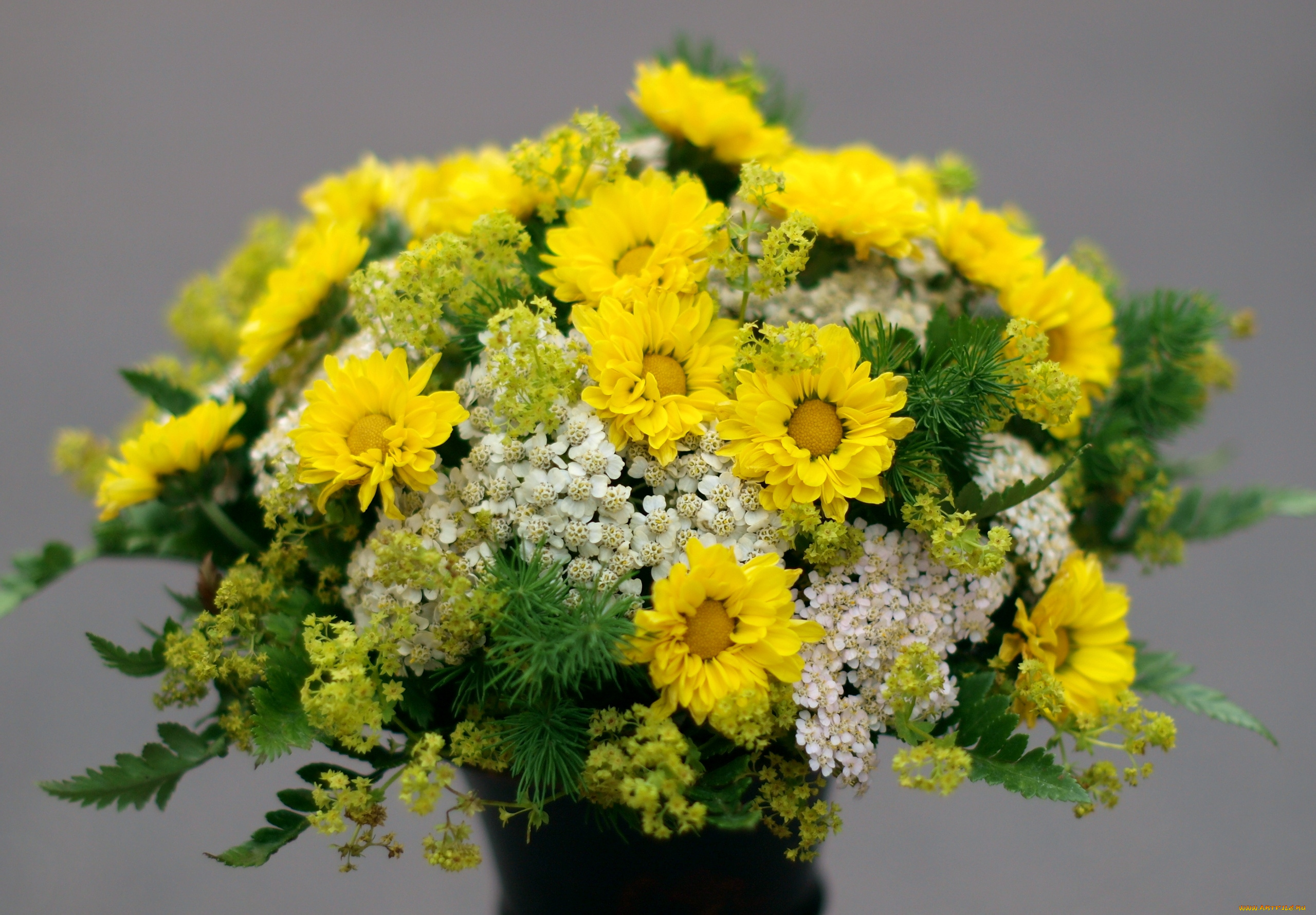 цветы, букеты, , композиции, хризантемы, тысячелистник