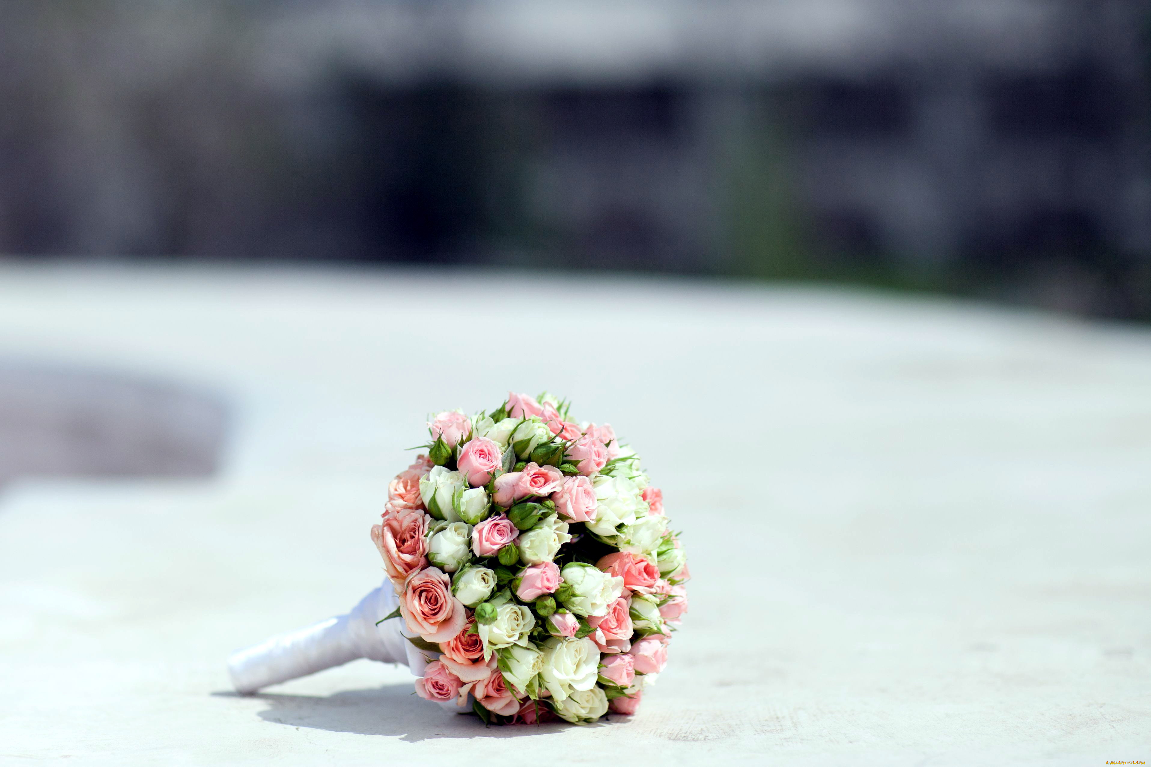 цветы, розы, букет, невесты