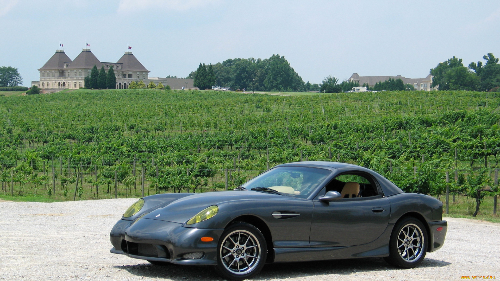 2004, panoz, esperante, автомобили, panoz, серый, esperante