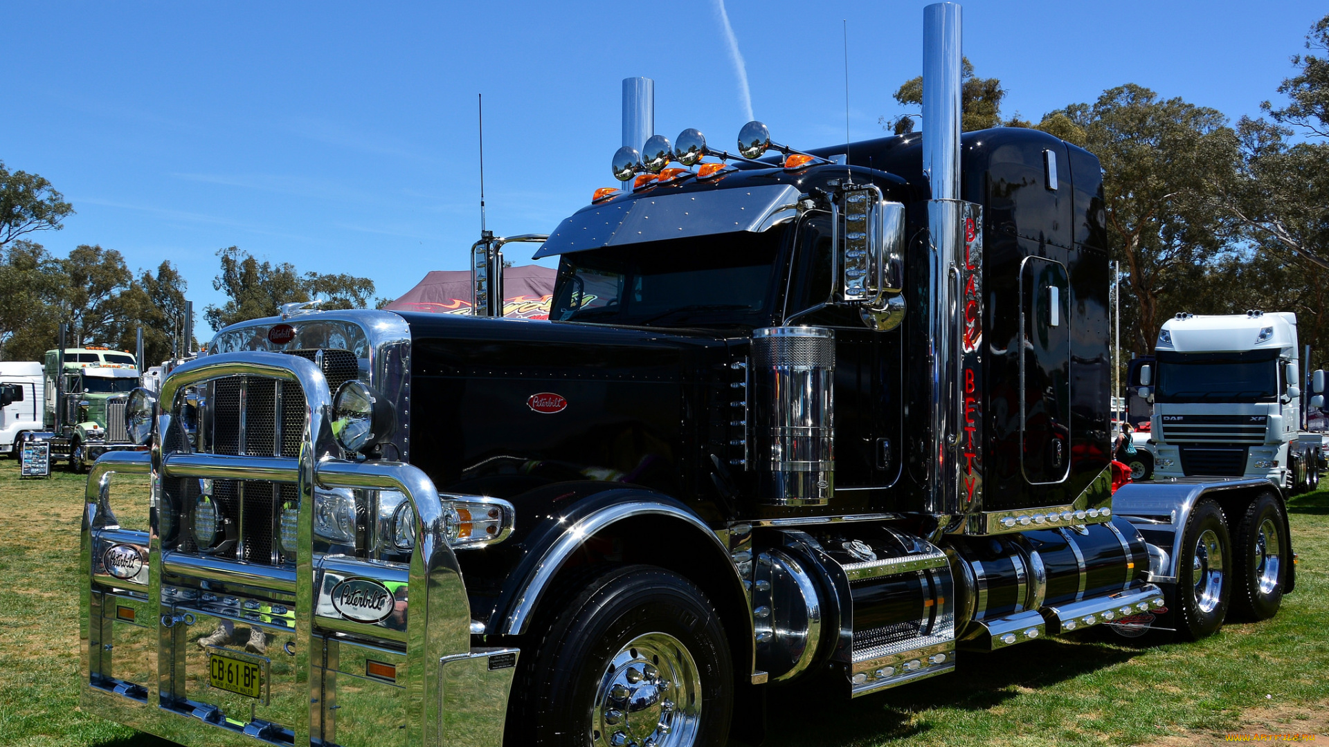 peterbilt, автомобили, тягач, седельный, грузовик, тяжелый