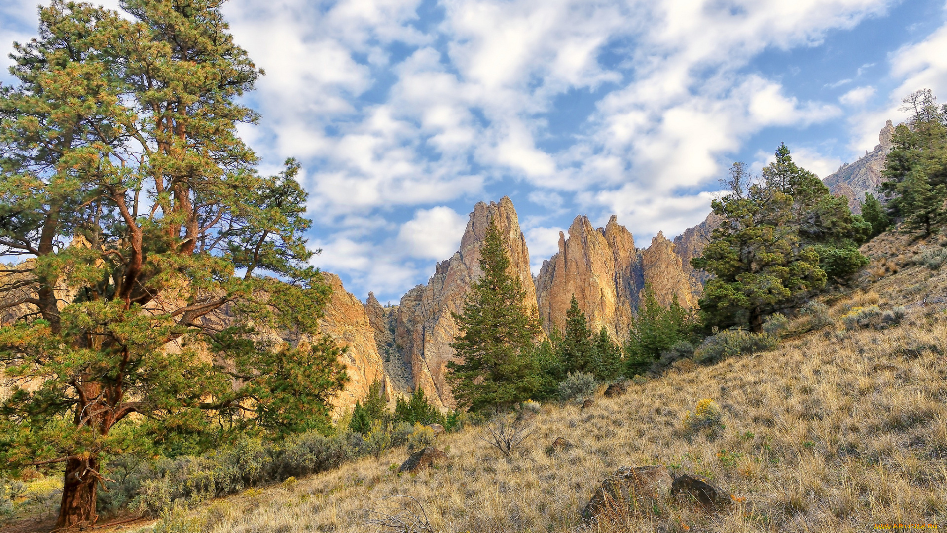 природа, горы, скалы, облака, небо, деревья, склон