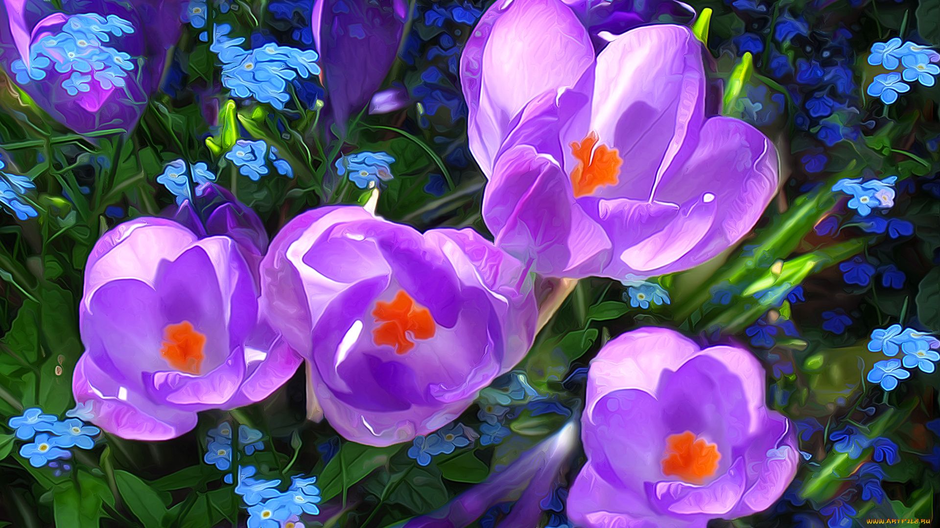 разное, компьютерный, дизайн, луг, поле, трава, цветы, крокус, линии