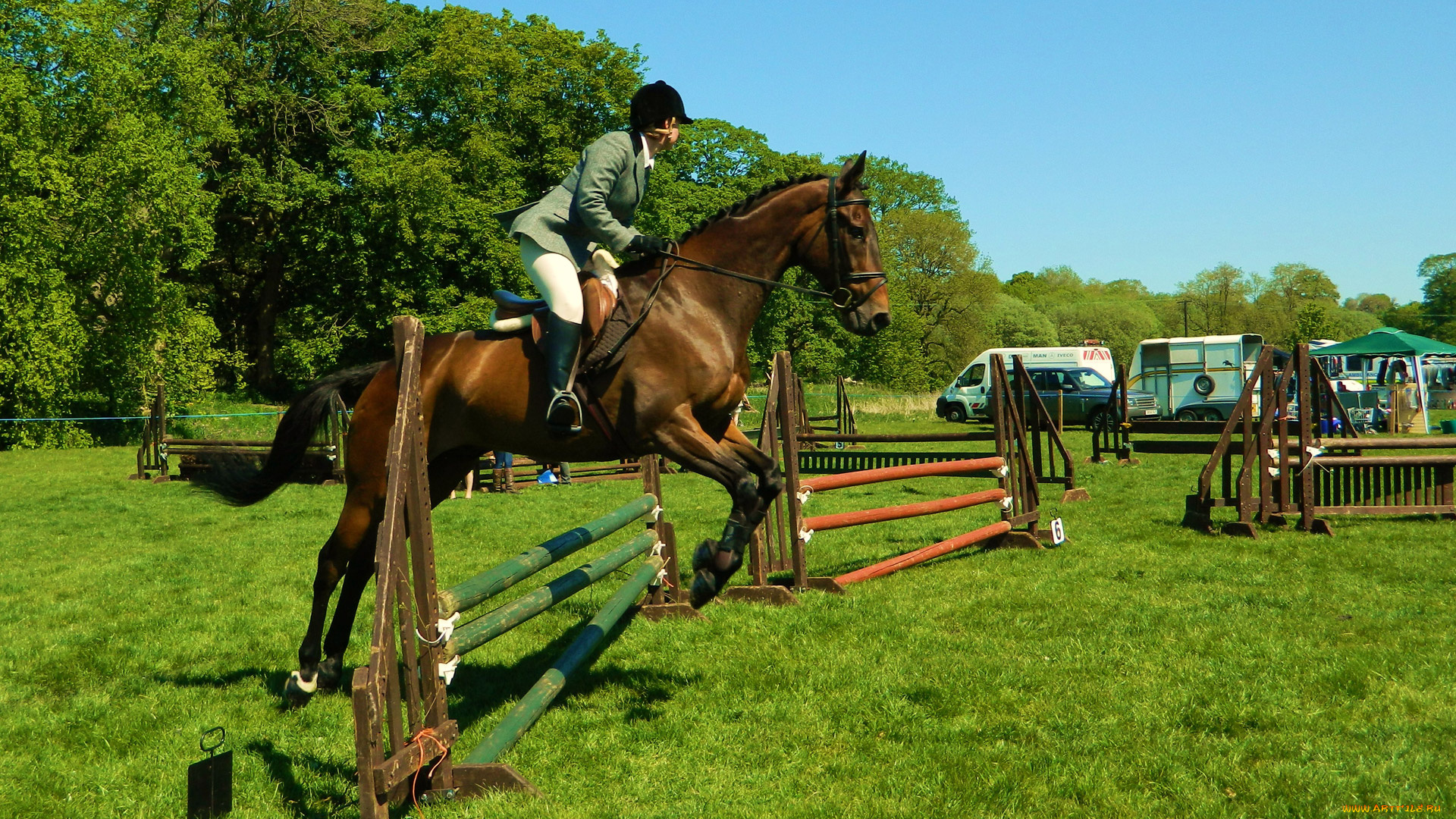 спорт, конный, спорт, ипподром, лошадь, жокей, скачки