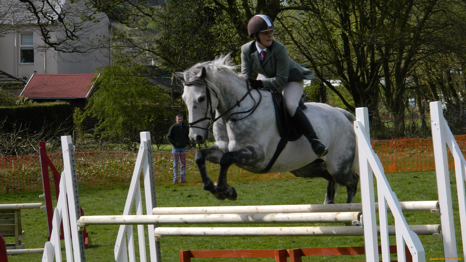 спорт, конный, спорт, ипподром, лошадь, жокей, скачки