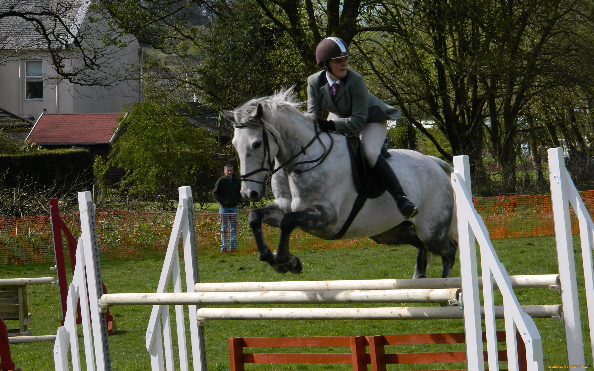 спорт, конный, спорт, ипподром, лошадь, жокей, скачки