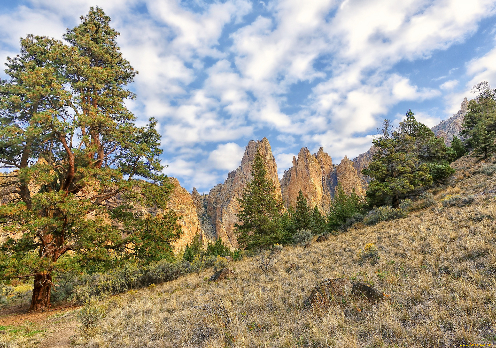 природа, горы, скалы, облака, небо, деревья, склон