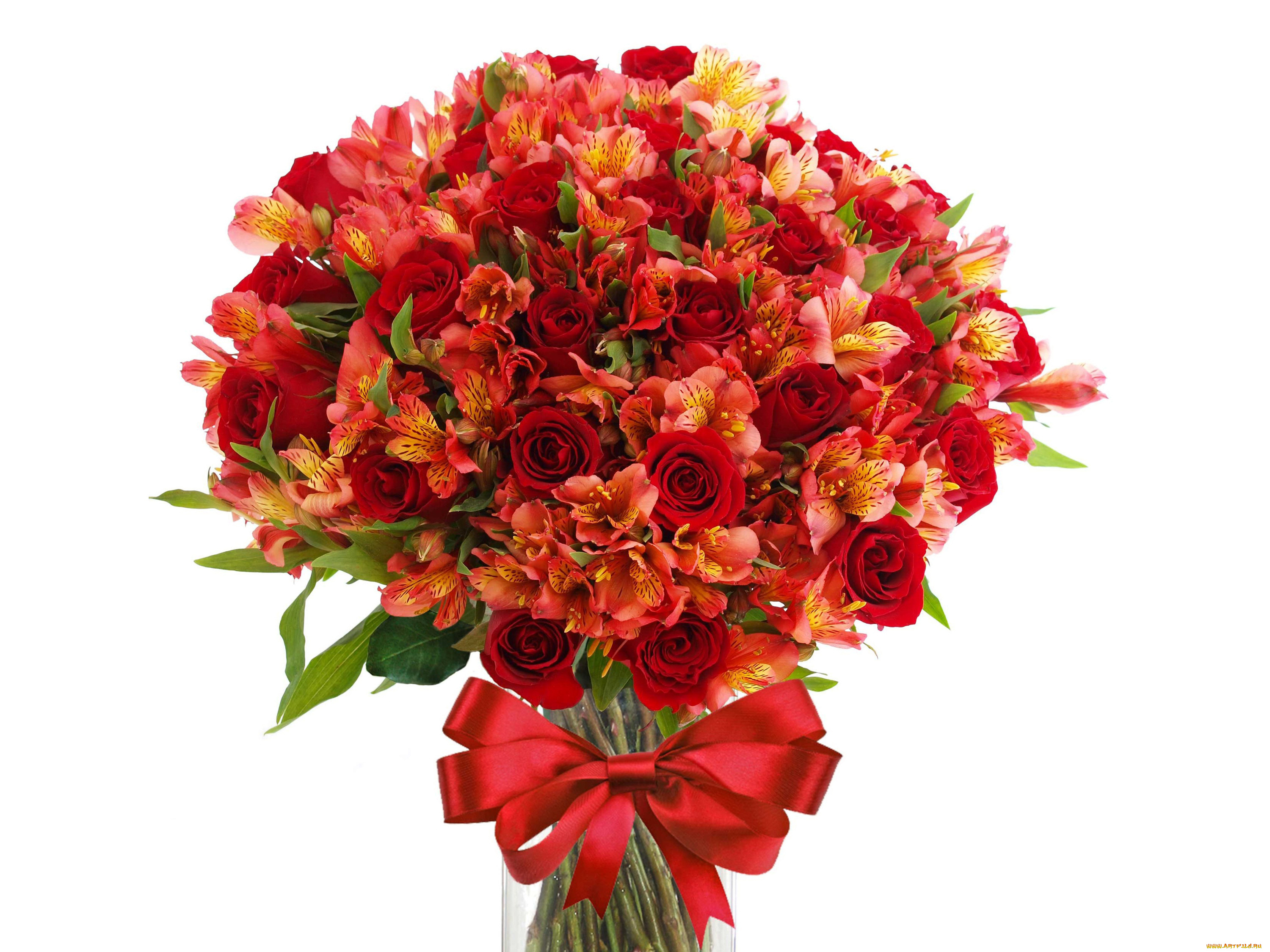 цветы, букеты, , композиции, розы, букет, альстромерии