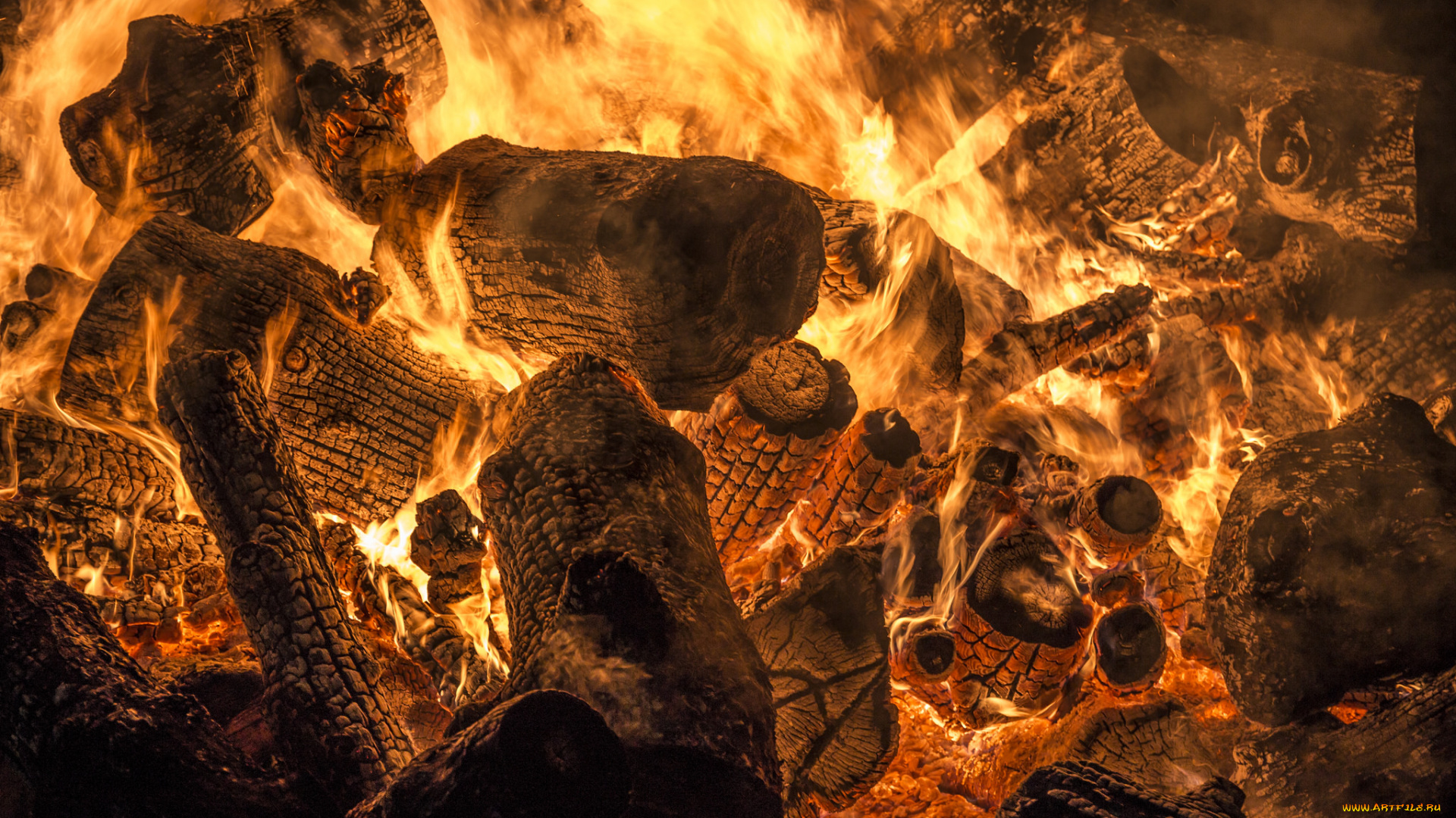 природа, огонь, дрова, костёр