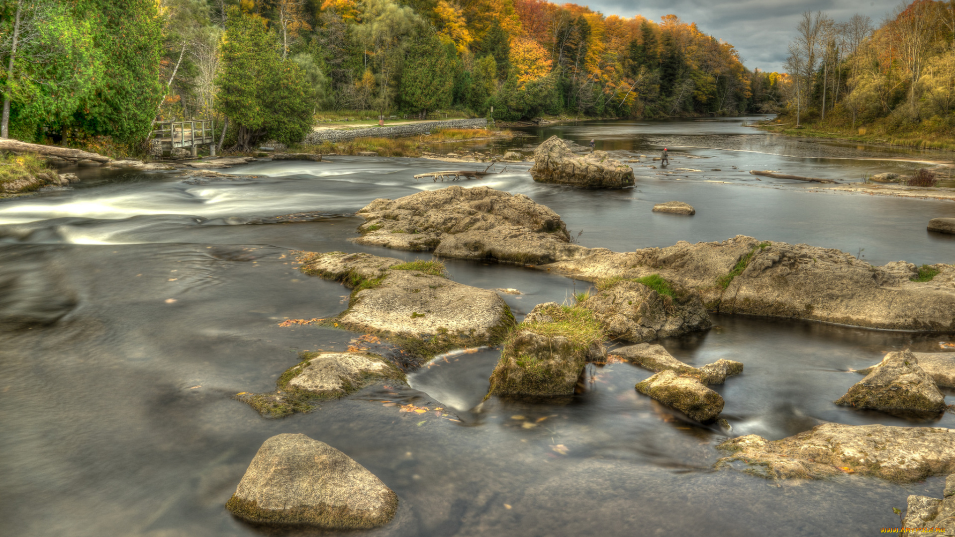 природа, реки, озера, река, лес