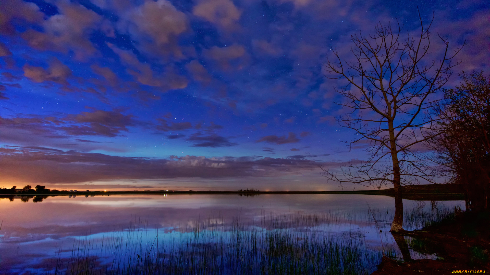 природа, реки, озера, зарево, дерево, озеро, облака, звезды, ночь, рассвет