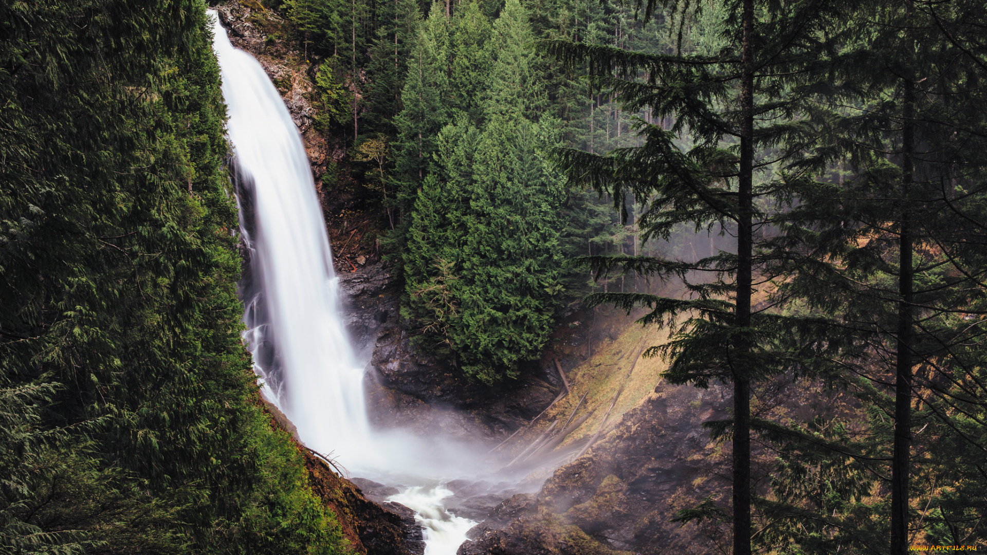 природа, водопады, водопад, лес, река