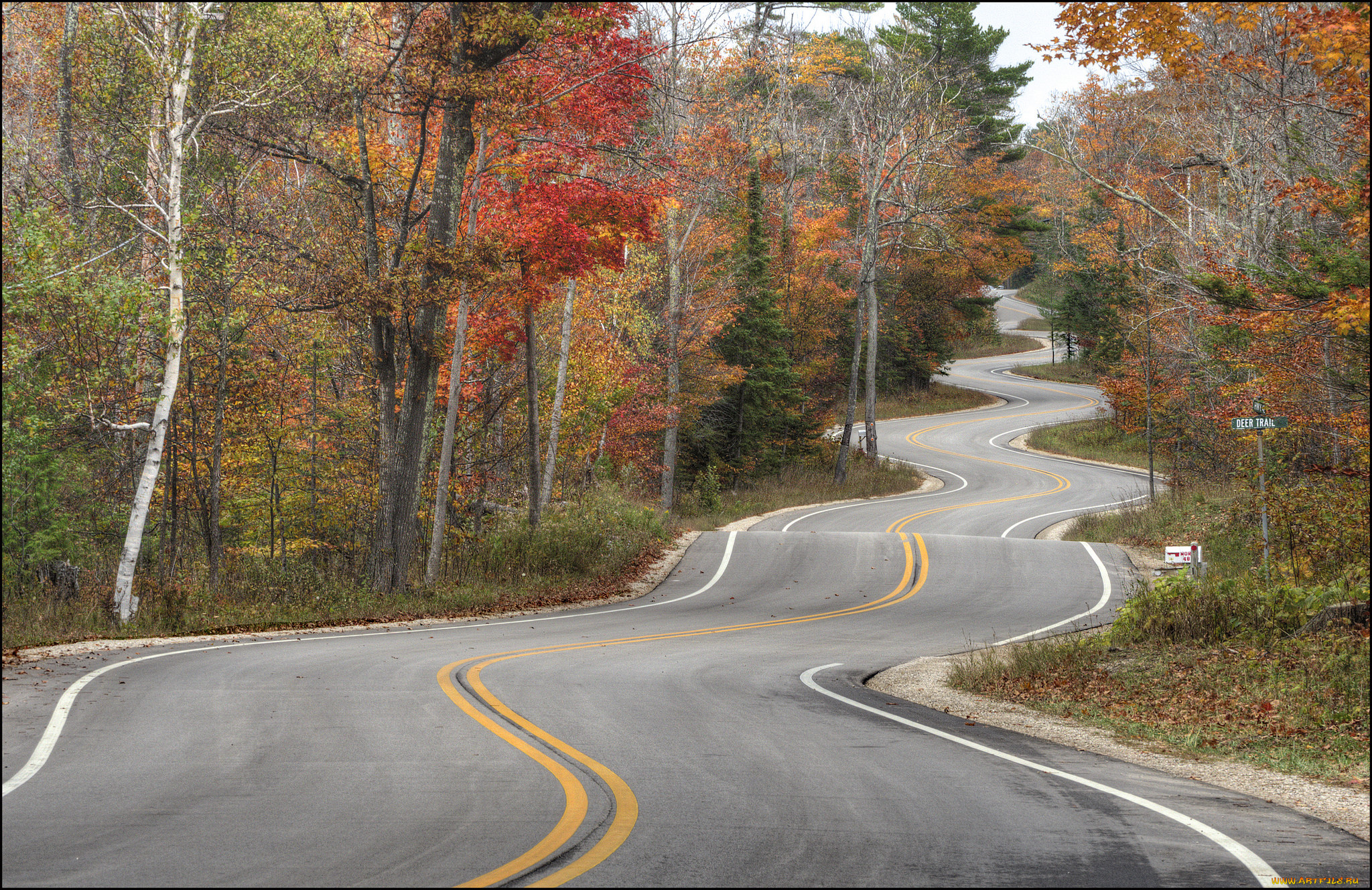 природа, дороги, осень, шоссе, лес