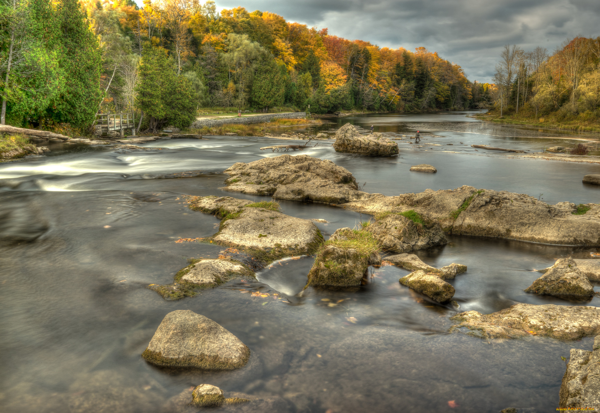 природа, реки, озера, река, лес