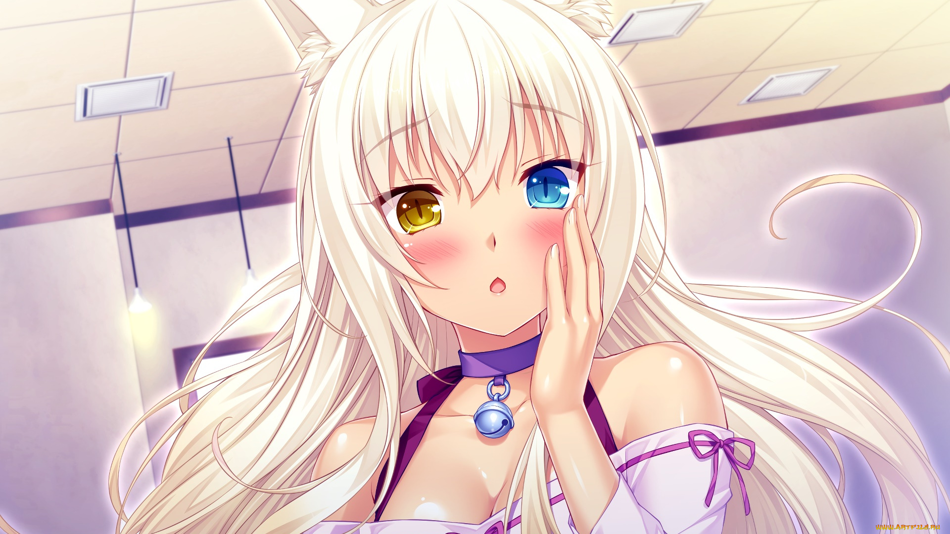 аниме, nekopara, фон, взгляд, девушка