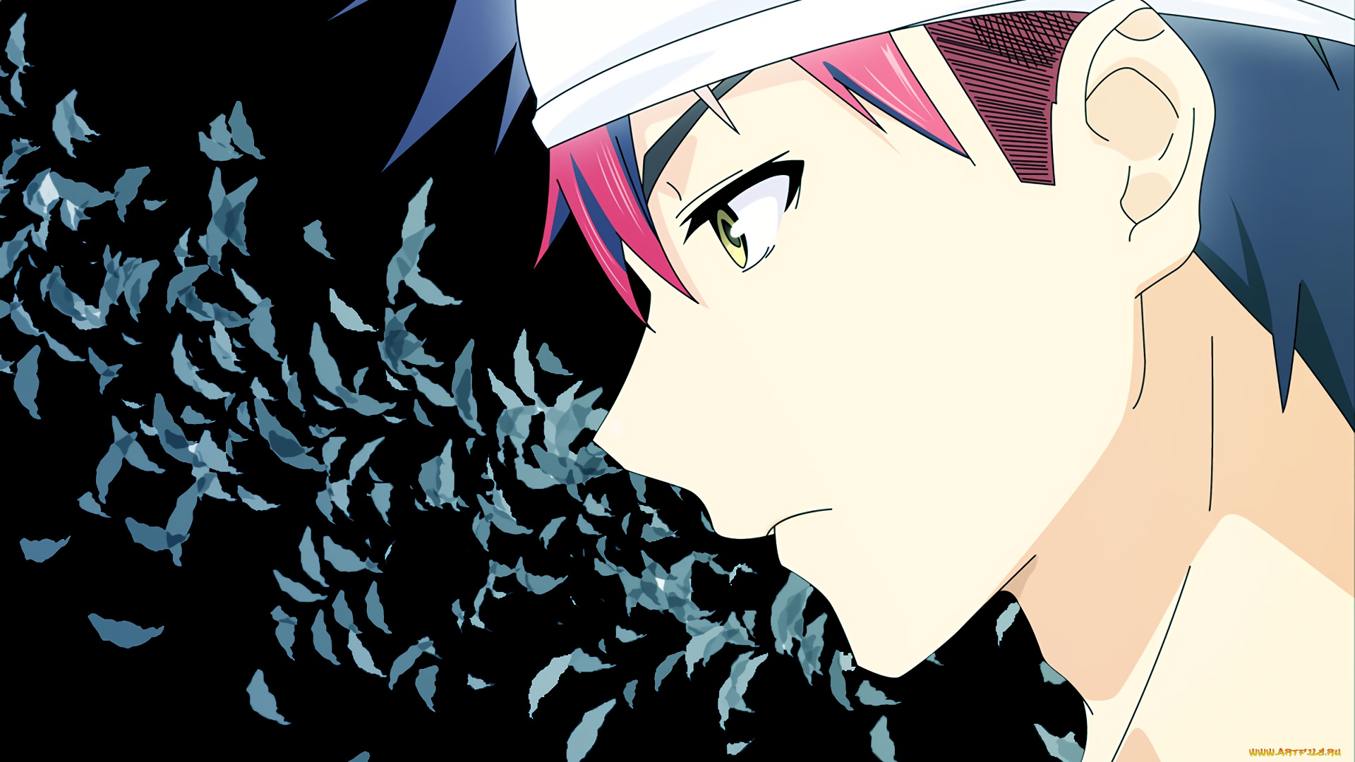 аниме, shokugeki, no, soma, фон, парень, взгляд