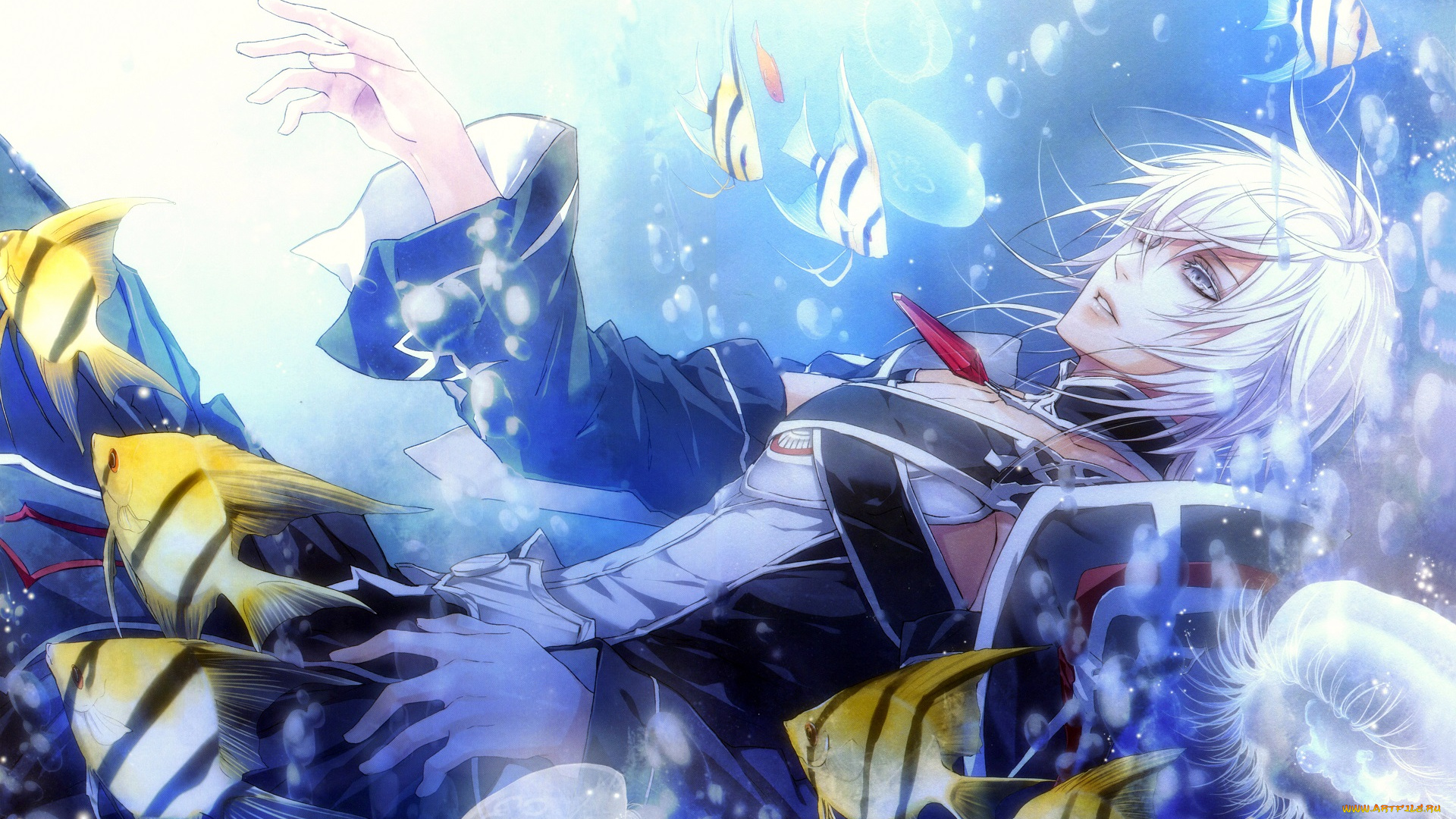 аниме, wand, of, fortune, парень