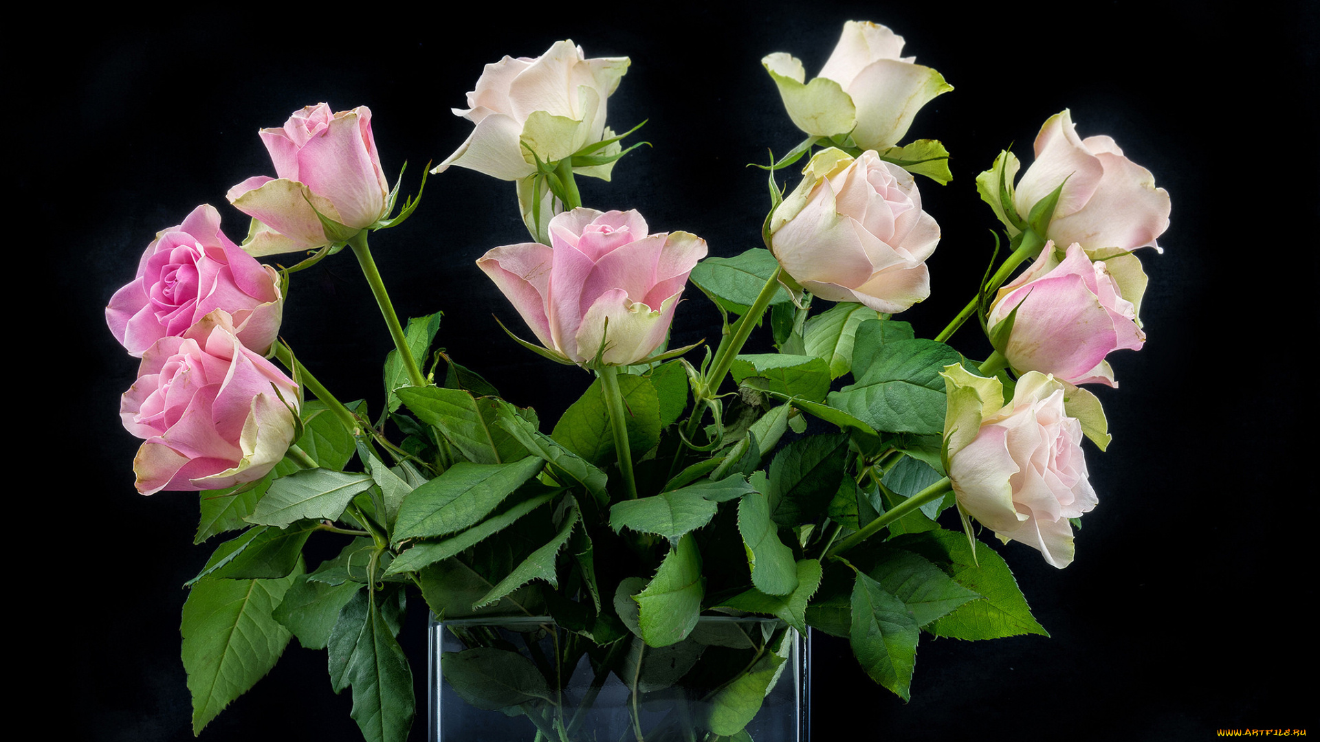 цветы, букеты, , композиции, розы, фон