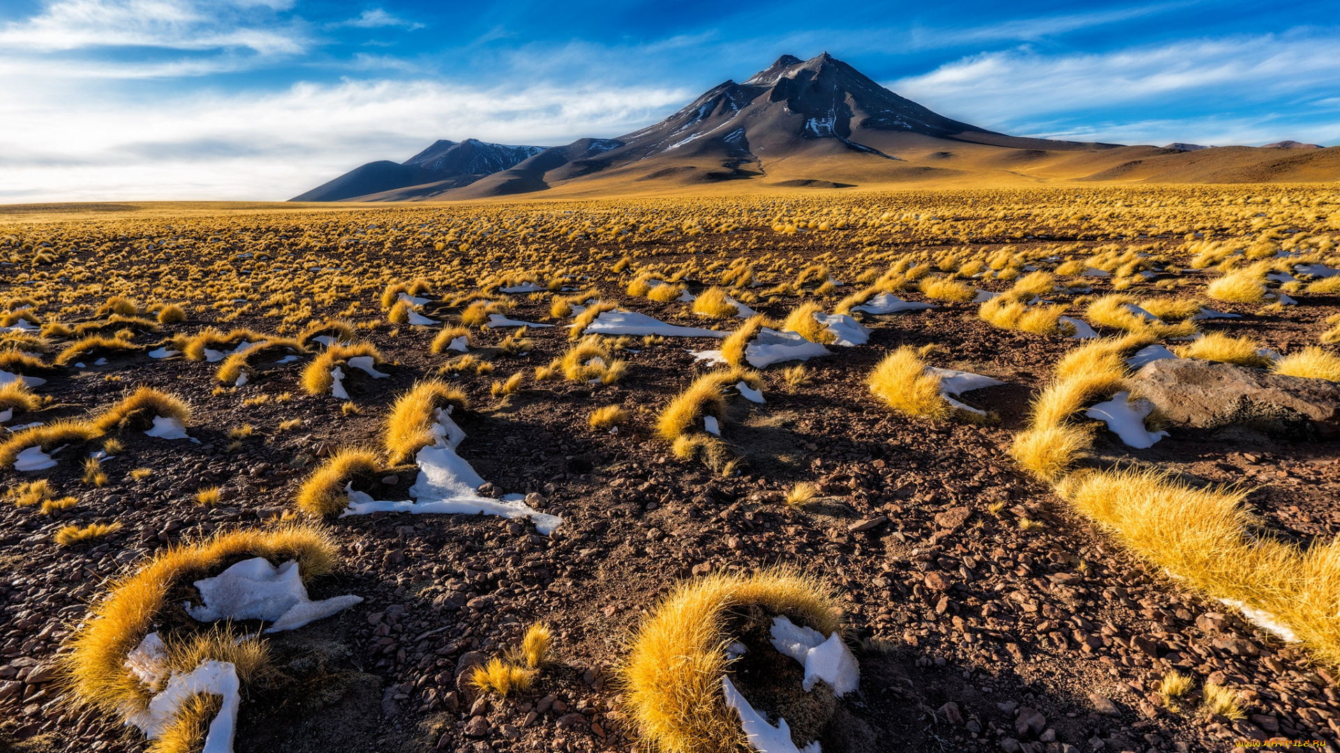 природа, пустыни, простор