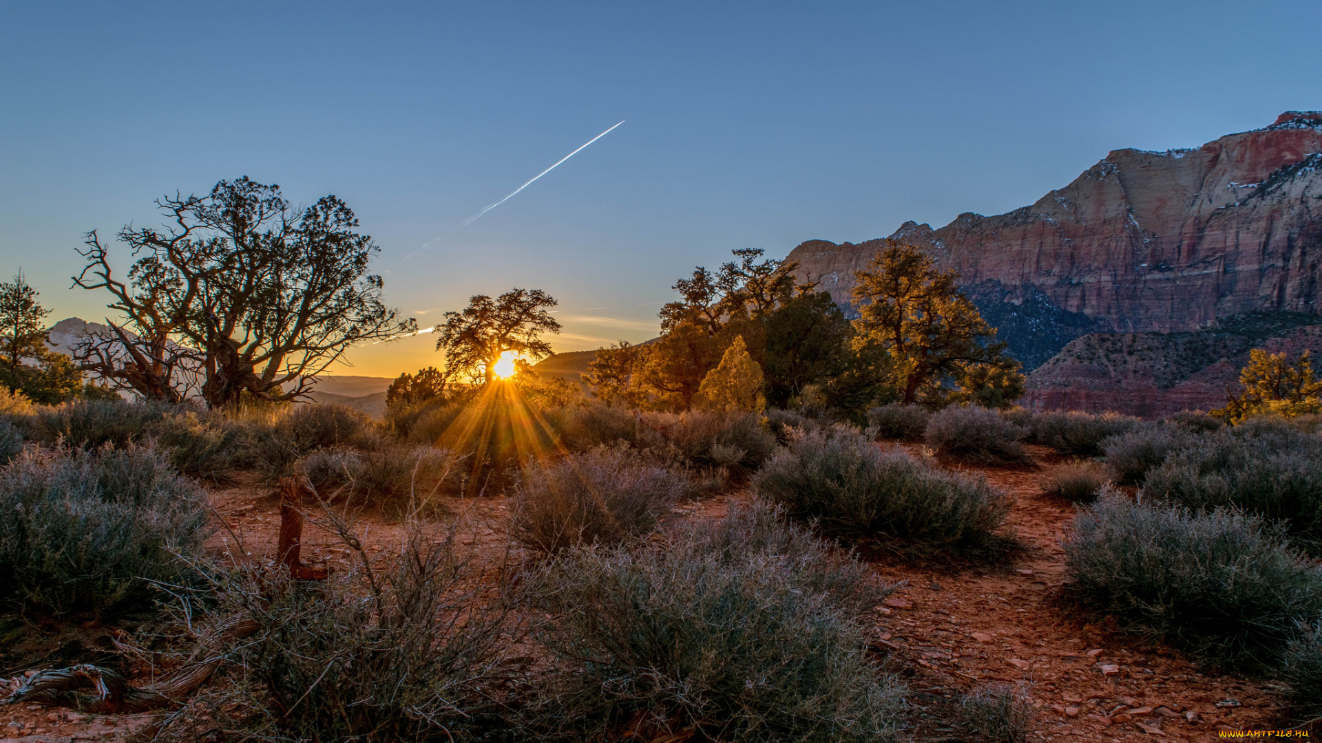 природа, пустыни, простор