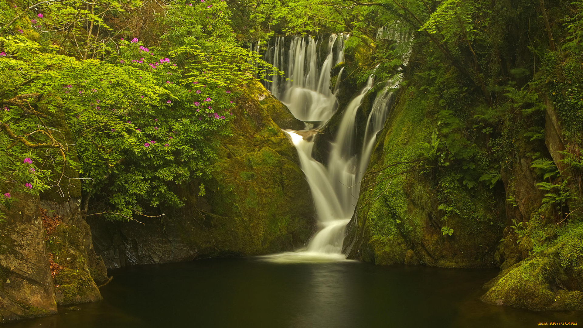 природа, водопады, уэльс, machynlleth, деревья, лес, великобритания