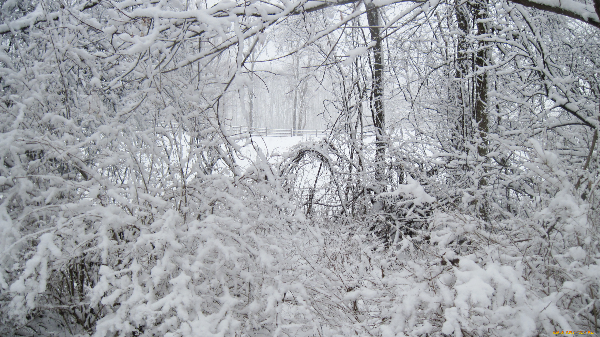 природа, зима, мороз, winter, сугробы, frost, snow, снег