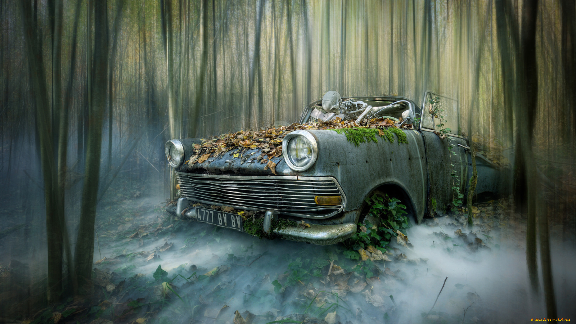 разное, компьютерный, дизайн, машна, скелет, лес