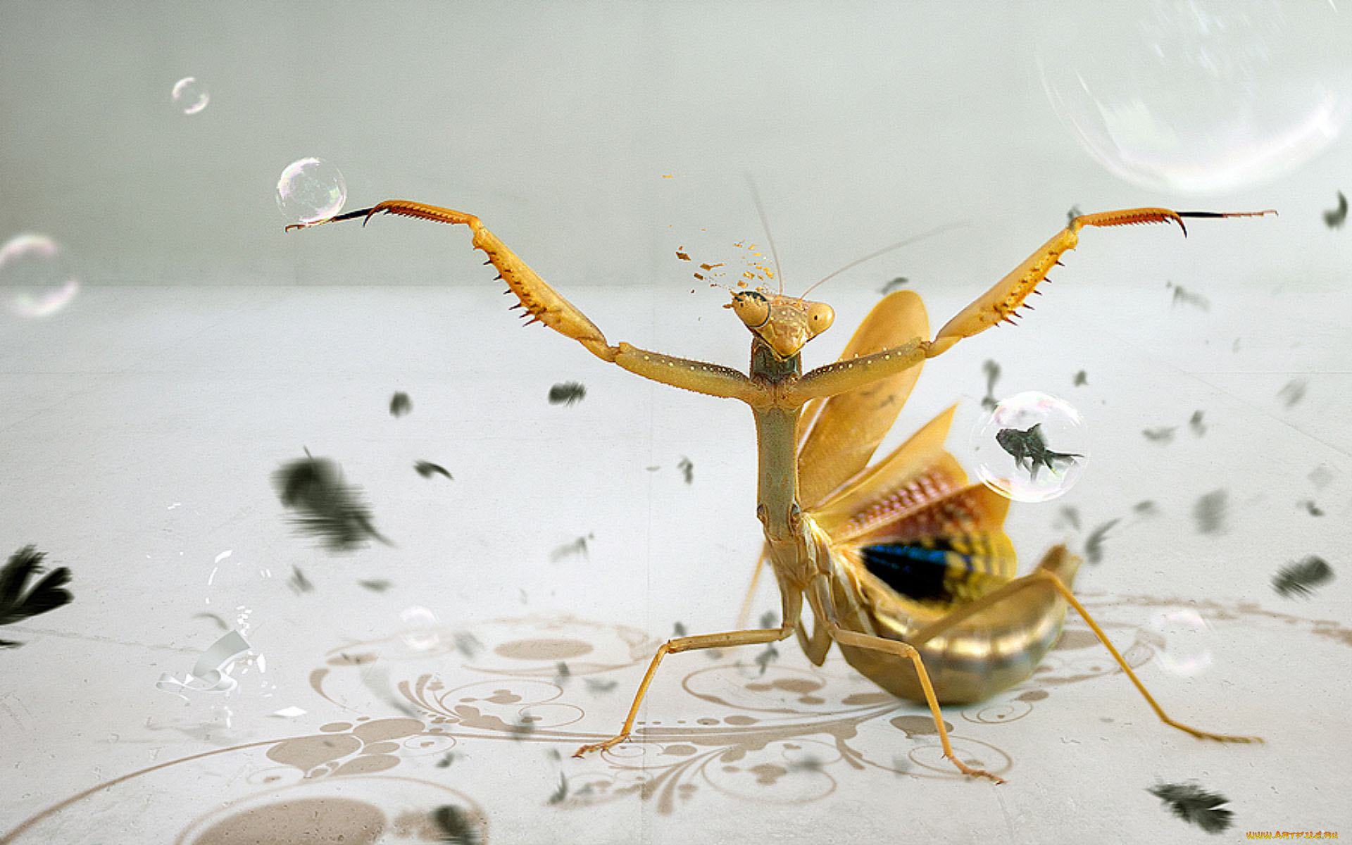 разное, компьютерный, дизайн, пузыри, рыбки, перья, богомол