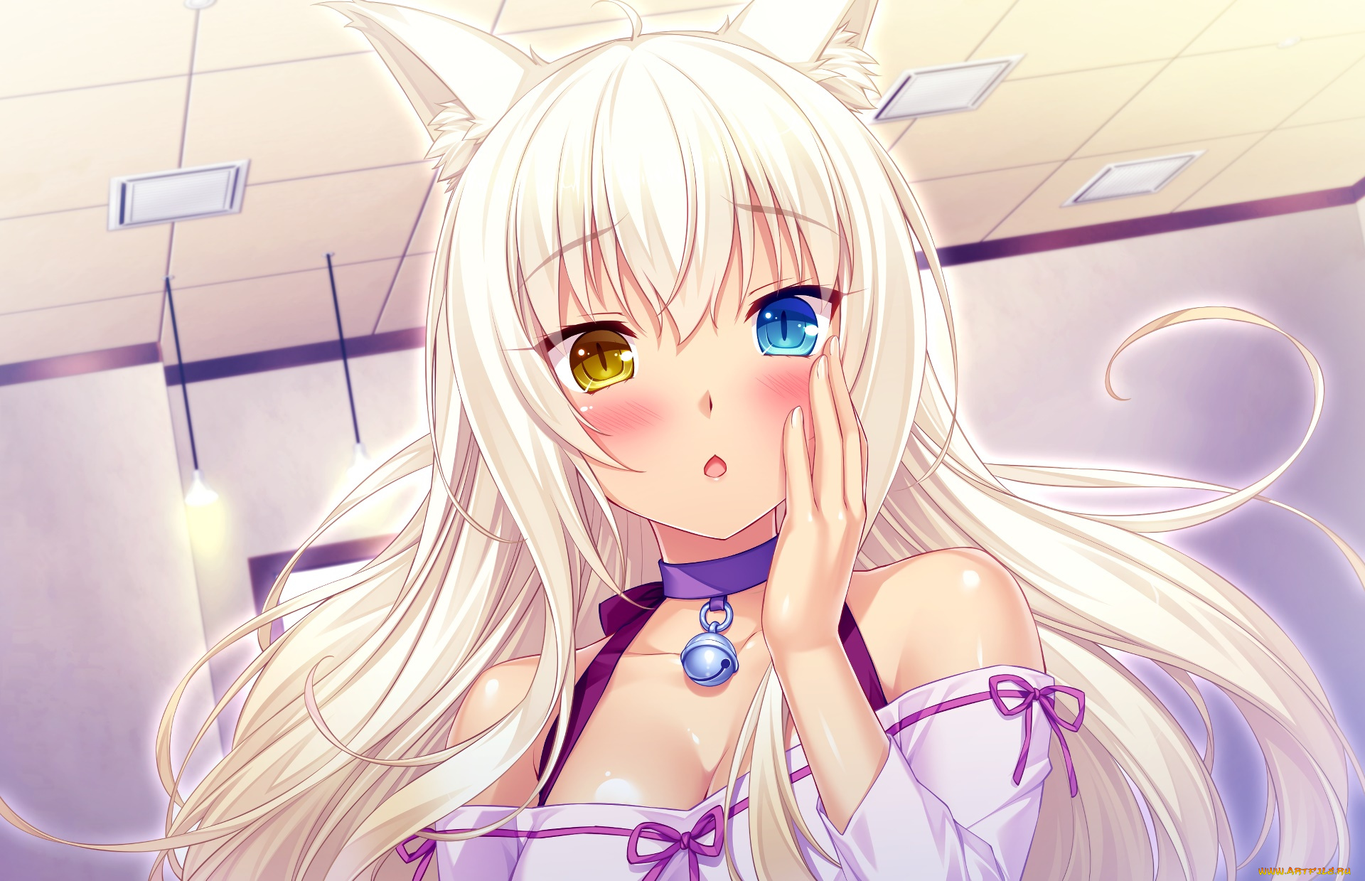 аниме, nekopara, фон, взгляд, девушка