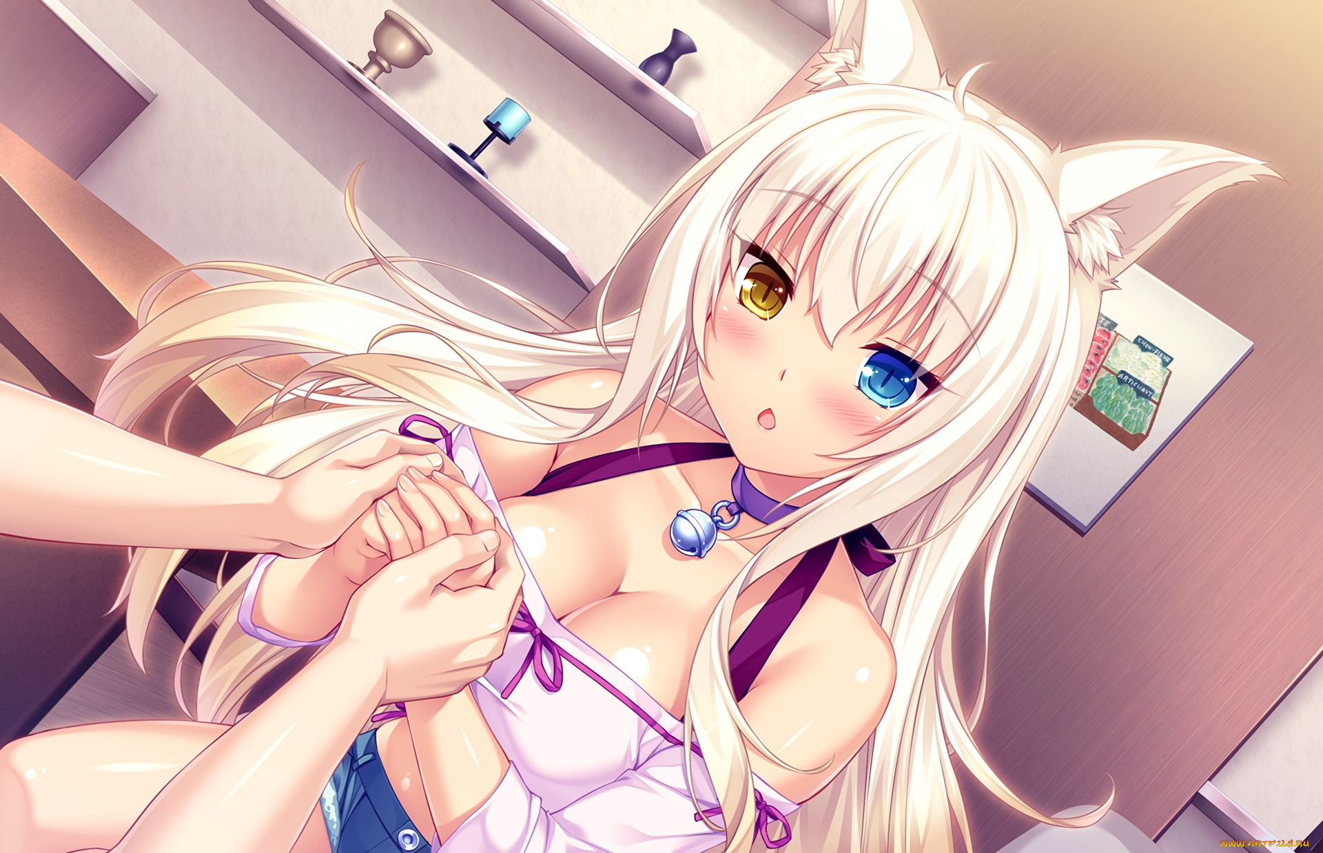 аниме, nekopara, фон, взгляд, девушка