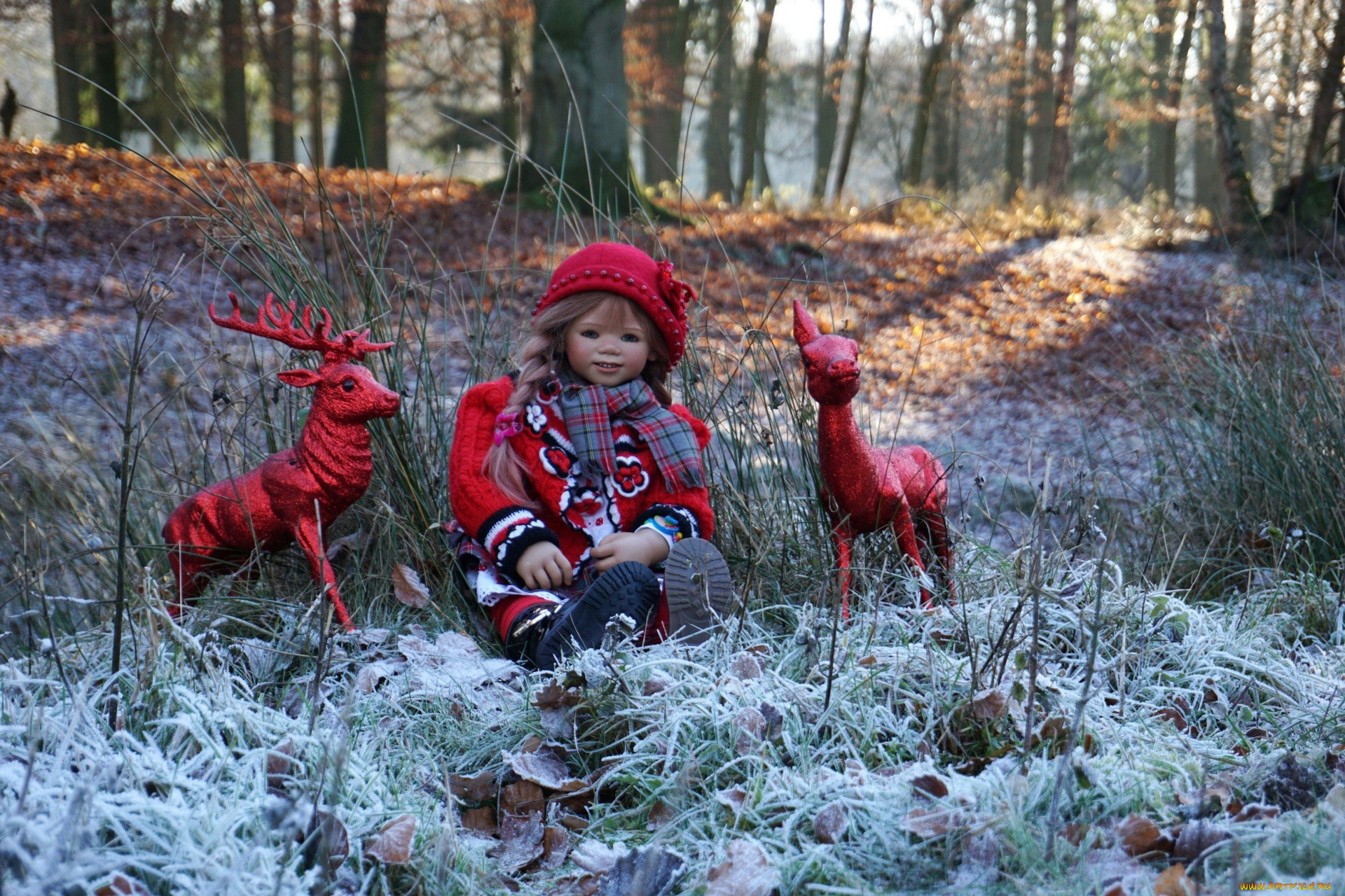 разное, игрушки, кукла, лес, осень