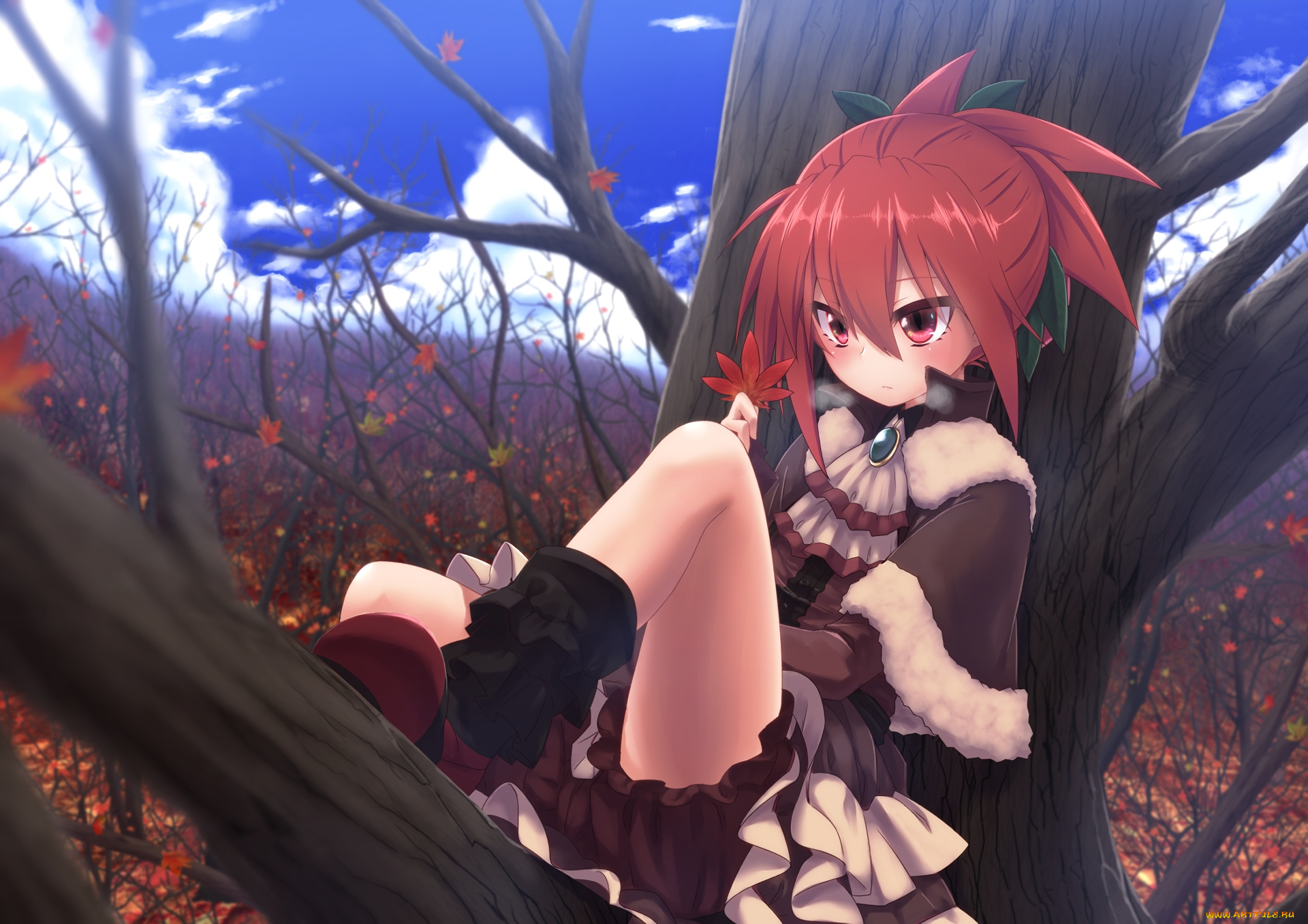 аниме, unknown, , другое, фон, взгляд, девушка