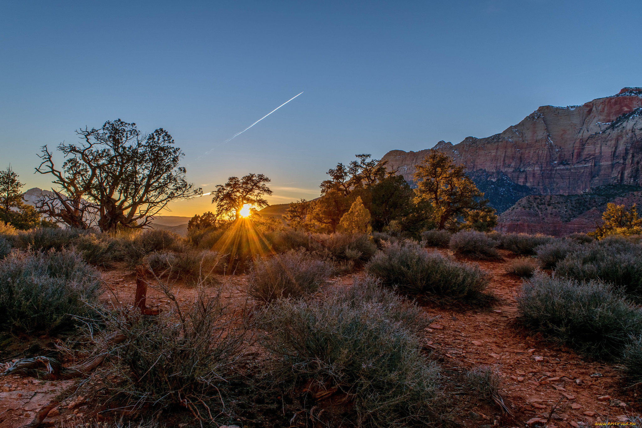 природа, пустыни, простор
