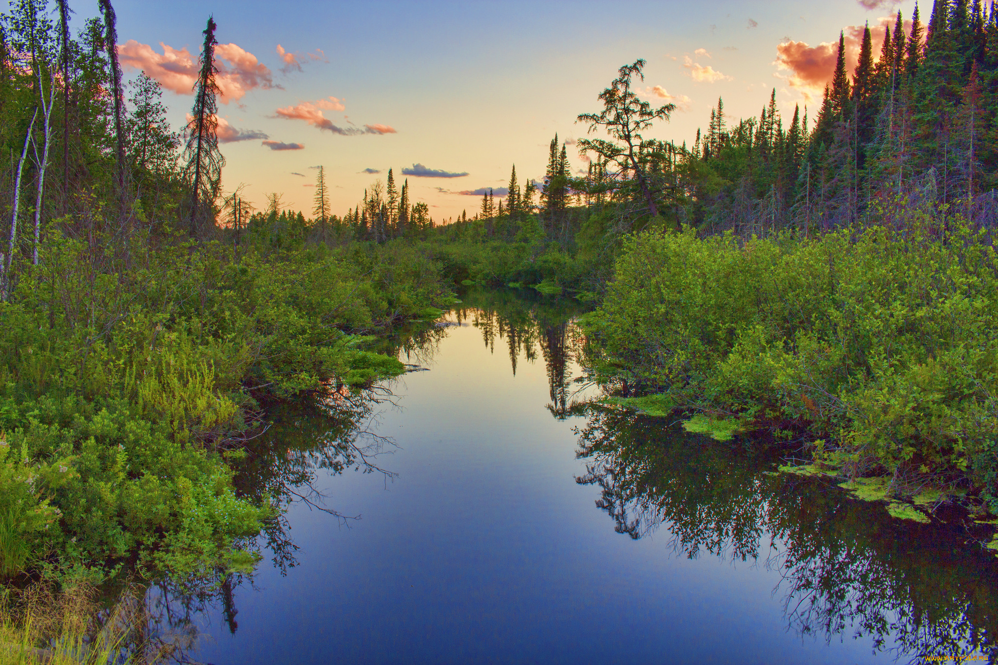 природа, реки, озера, река, лес