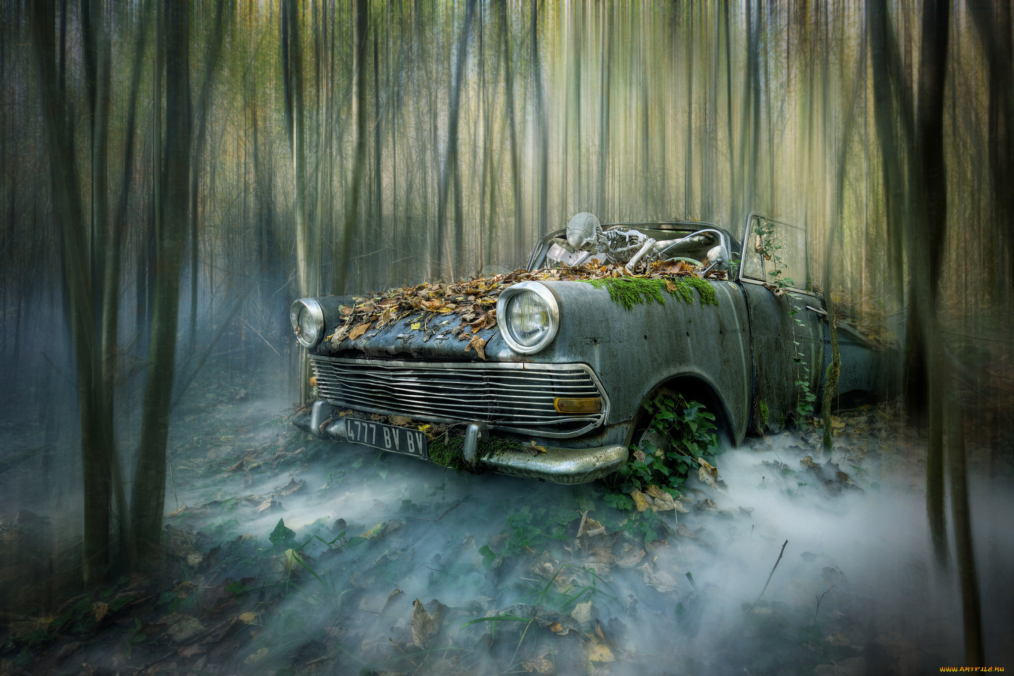 разное, компьютерный, дизайн, машна, скелет, лес