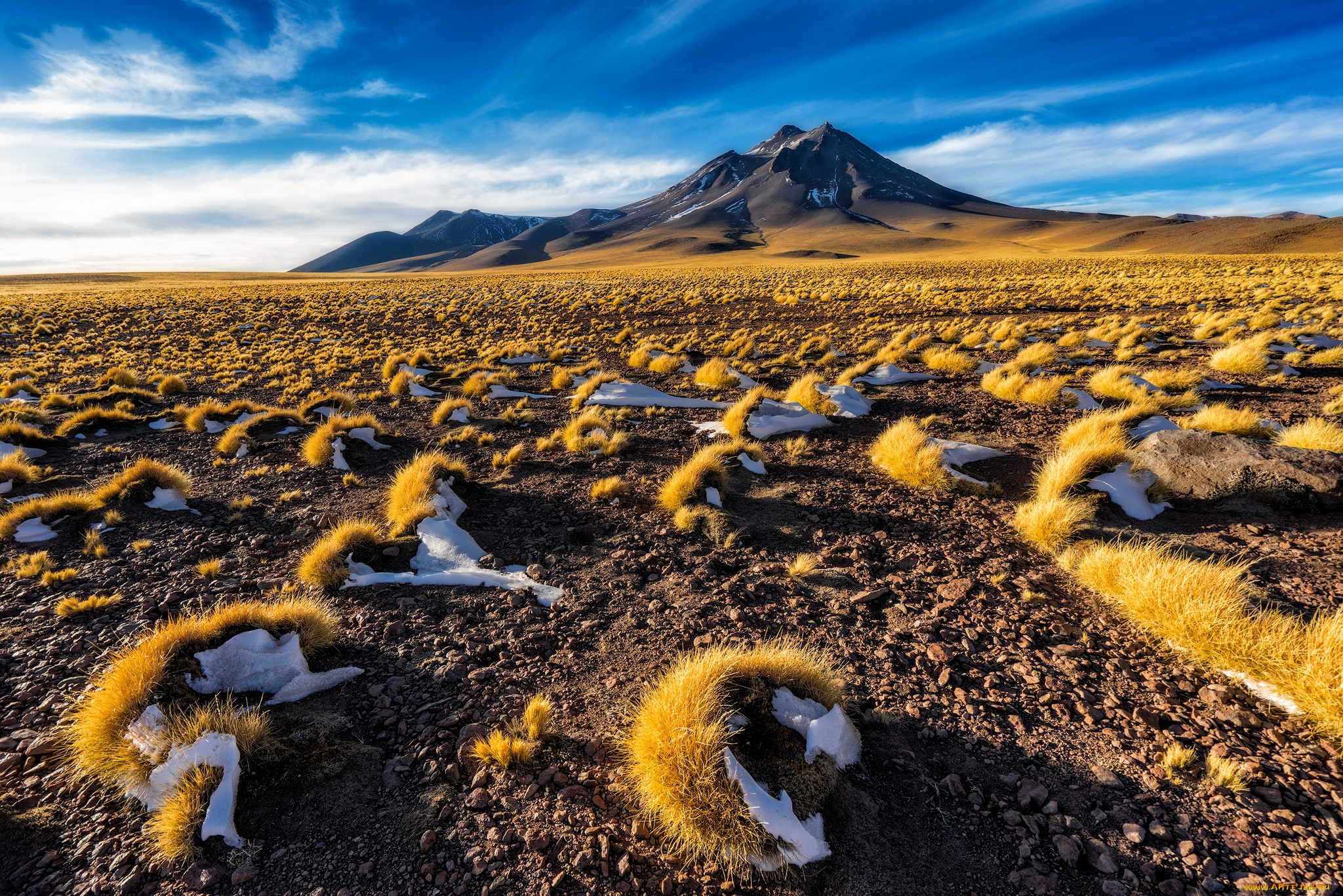природа, пустыни, простор