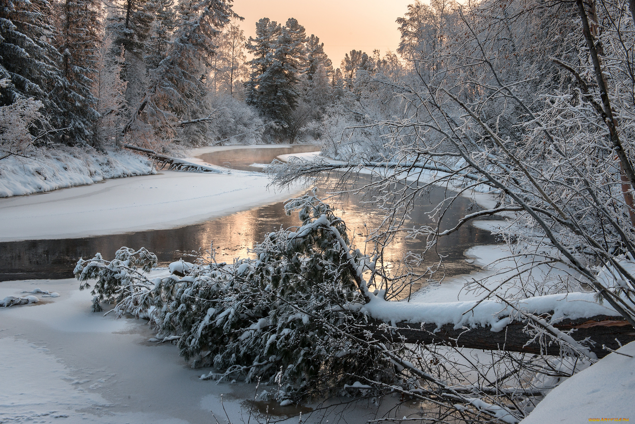 природа, зима, снег