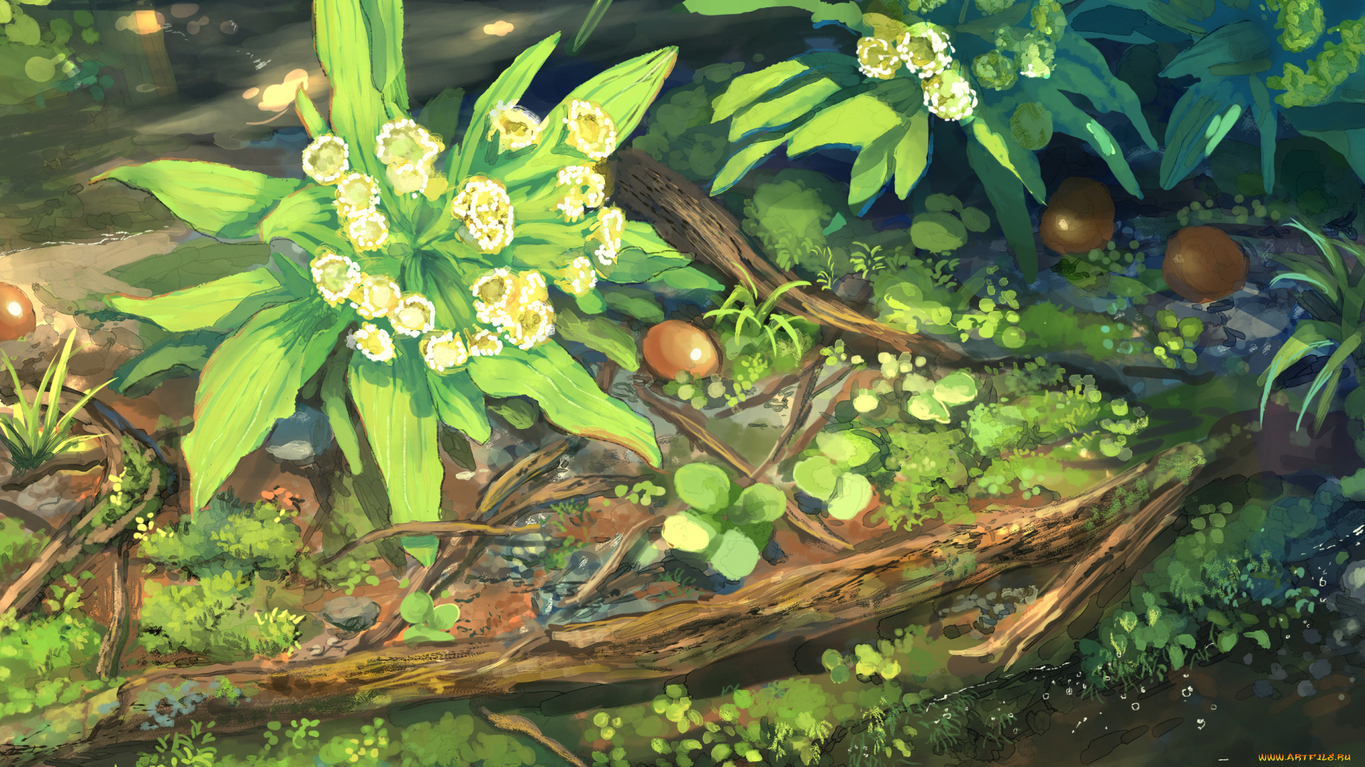 аниме, пейзажи, , природа, цветы