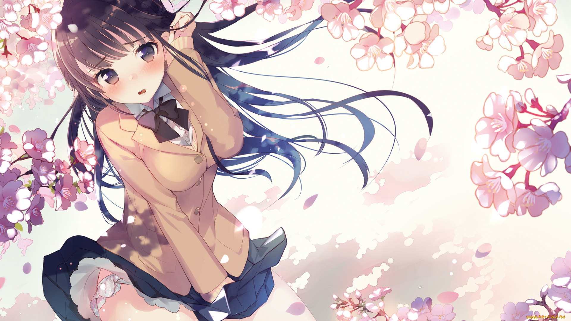 аниме, unknown, , другое, , gin, oyoyo