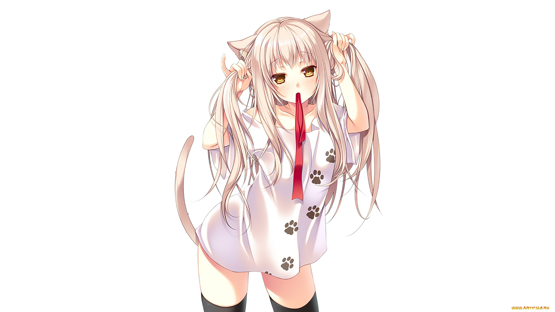 аниме, животные, , существа, фон, взгляд, девушка