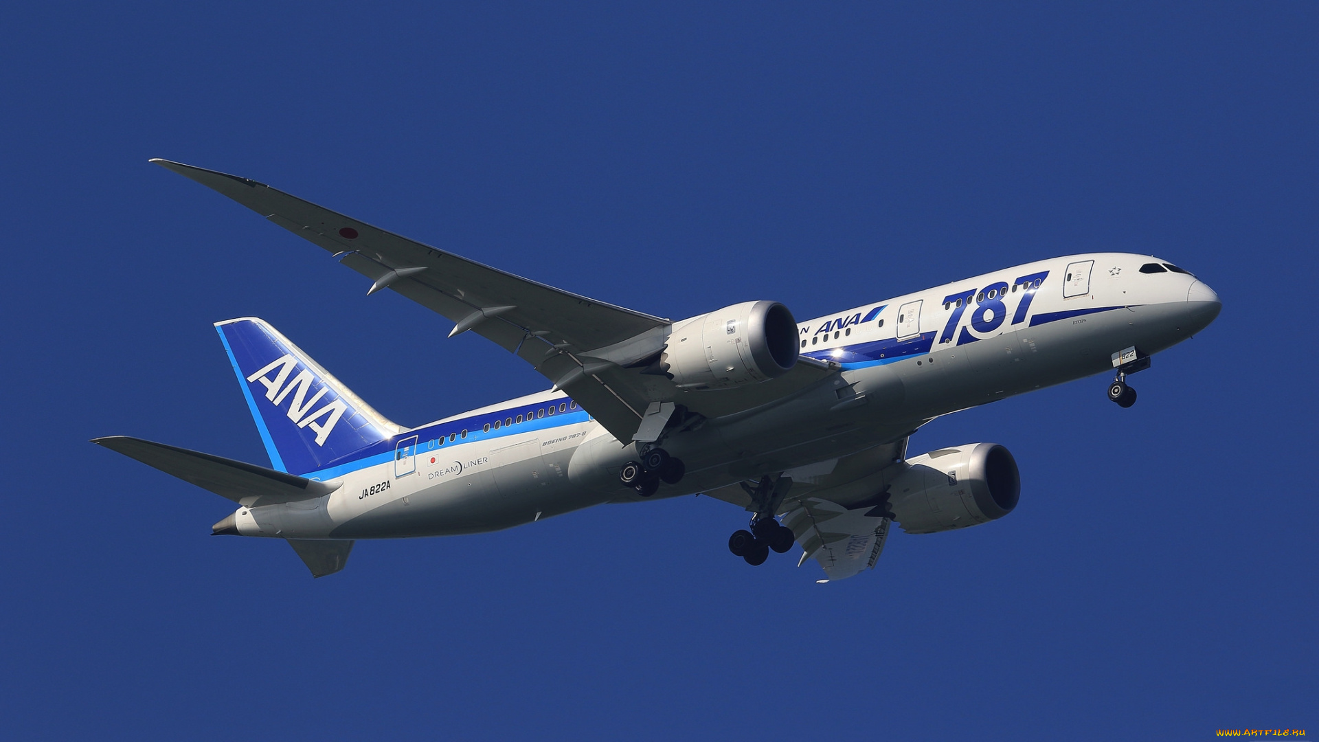 boeing, 787, авиация, пассажирские, самолёты, авиалайнер