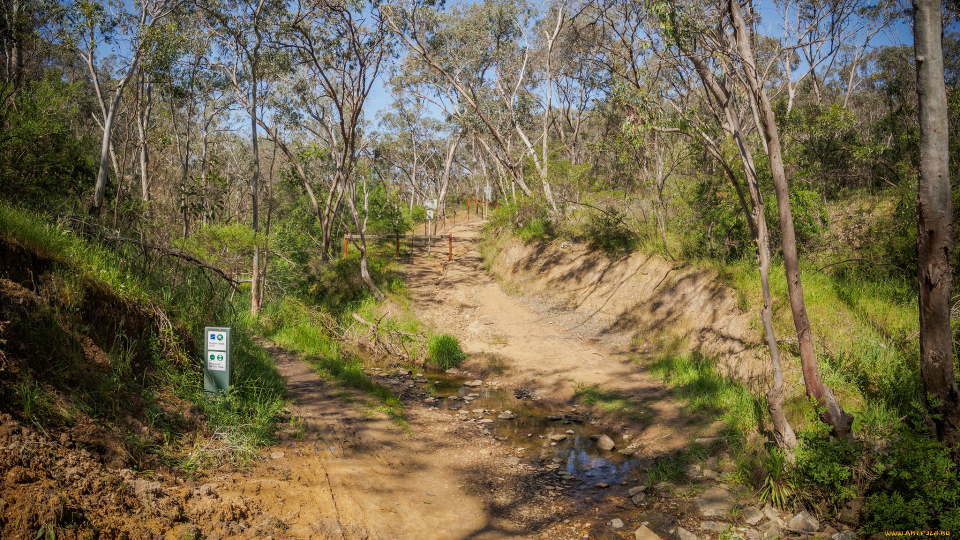 природа, дороги, простор