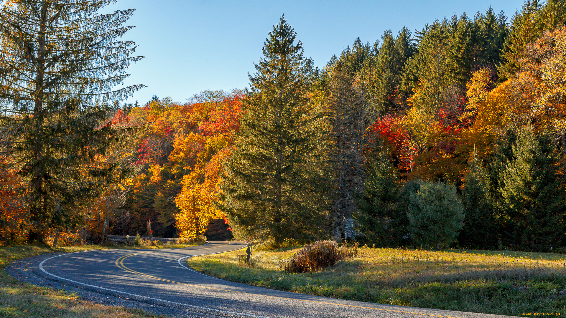 природа, дороги, простор