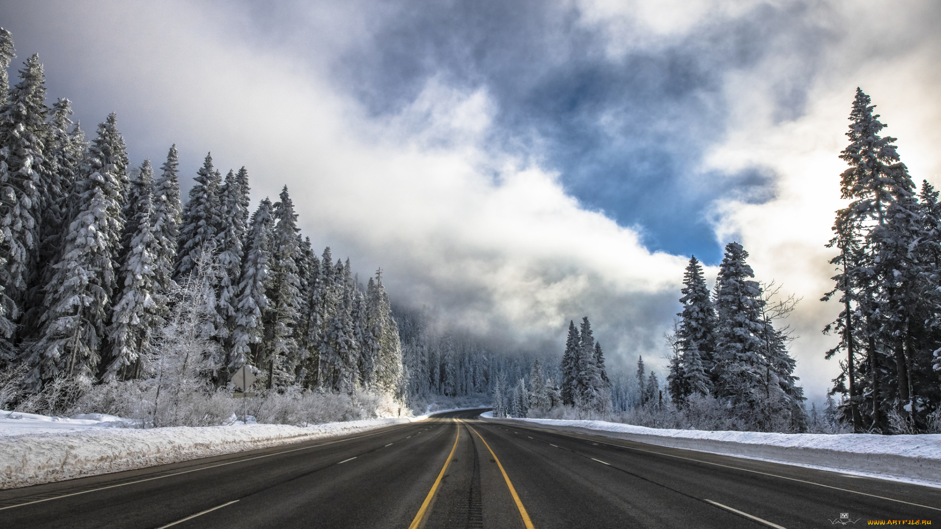 природа, дороги, простор