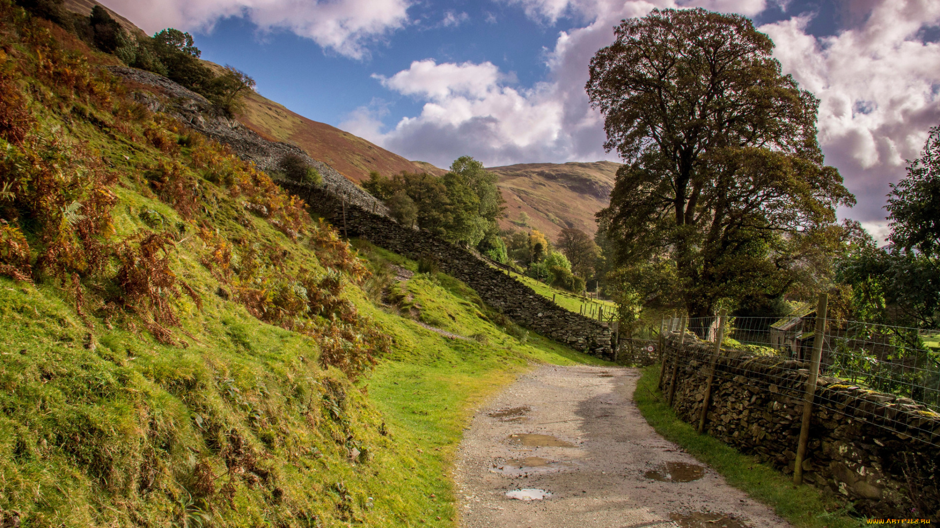 природа, дороги, простор