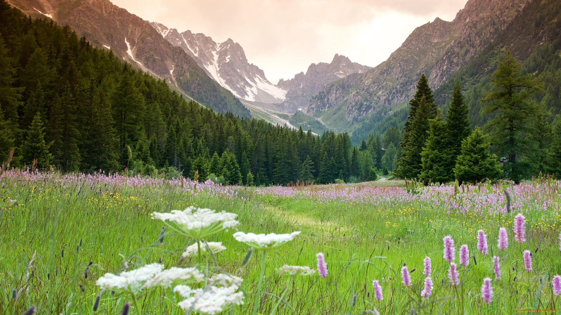 природа, горы, простор